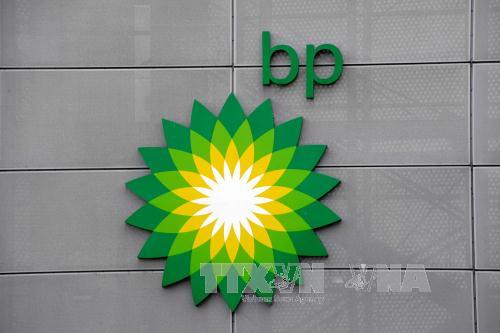 Tập đoàn BP bồi thường thêm 1,7 tỷ USD vì sự cố tràn dầu vịnh Mexico ảnh 1